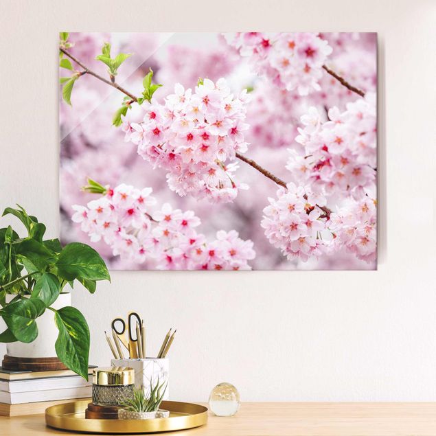 Glas Magnettafel Japanese Cherry Blossoms