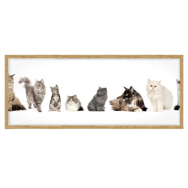 Framed poster - Cat Gang