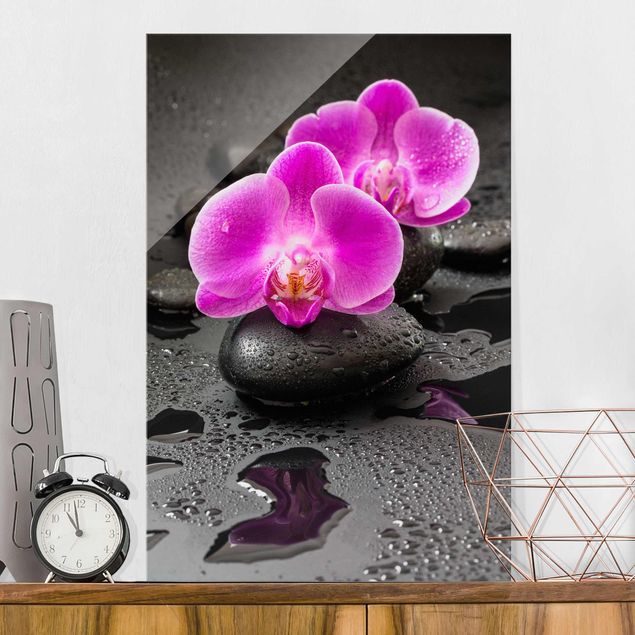 Glas Magnetboard Pink Orchid Flower On Stones With Drops