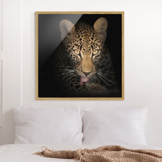Framed poster - Resting Leopard