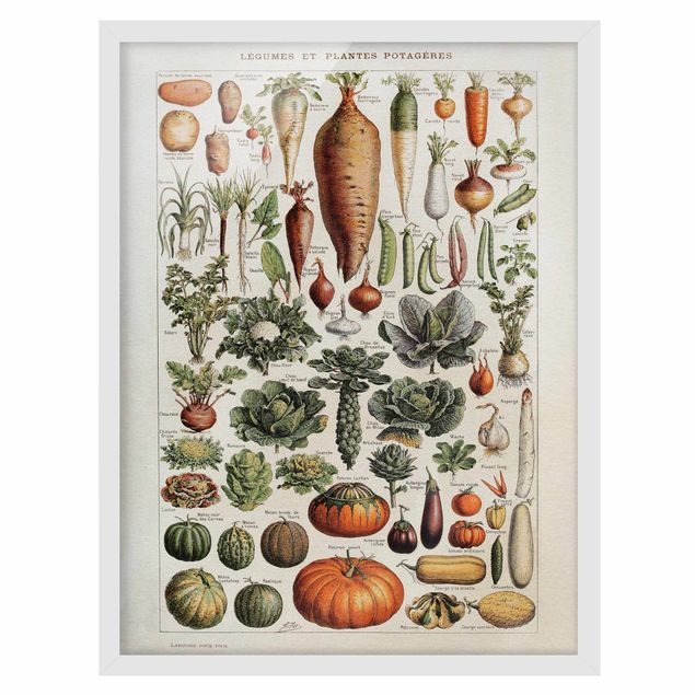 Framed poster - Vintage Board Vegetables