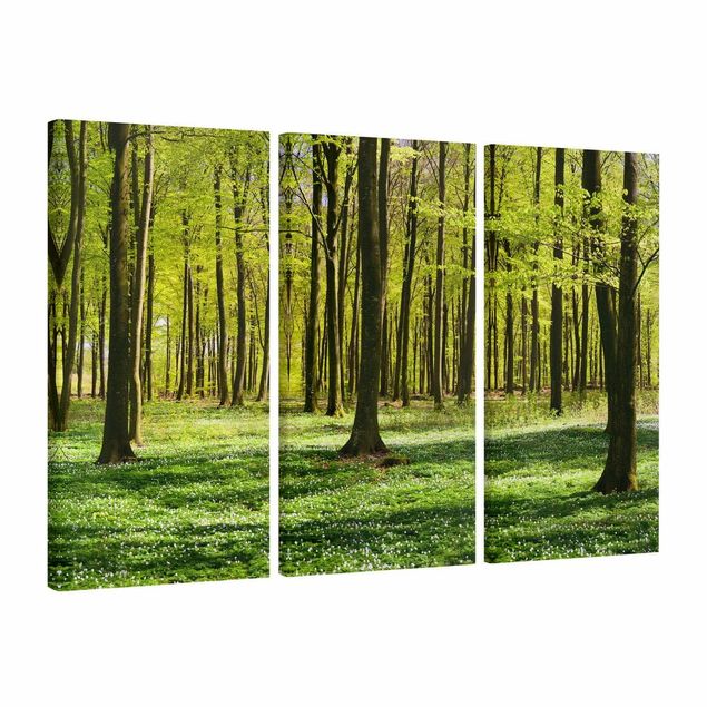 Print on canvas 3 parts - Forest Meadow