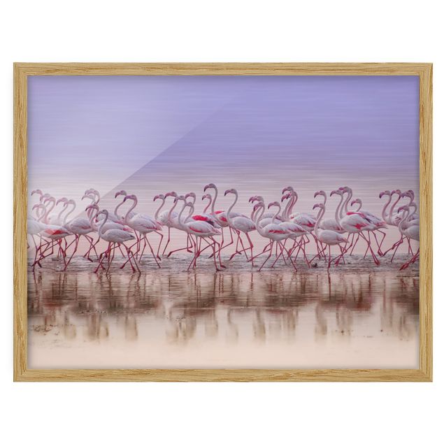 Framed poster - Flamingo Party