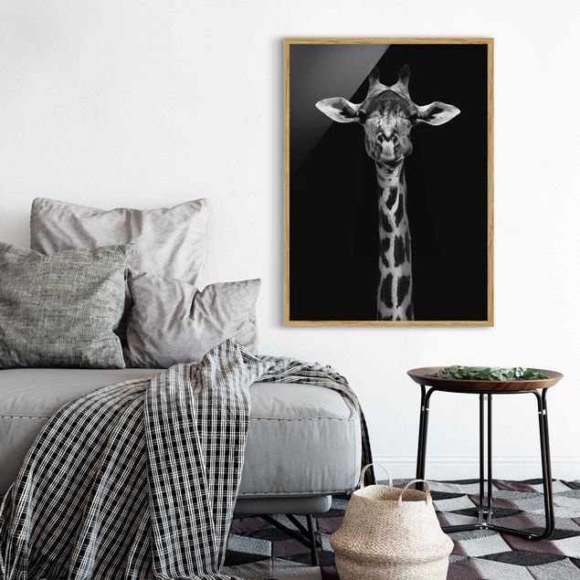 Framed poster - Dark Giraffe Portrait