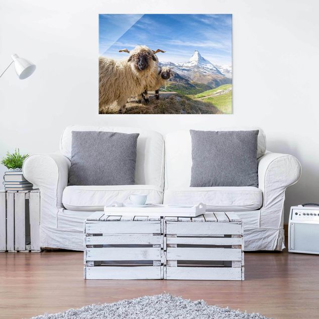 Glass print - Blacknose Sheep Of Zermatt