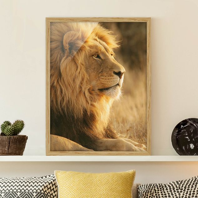 Framed poster - King Lion