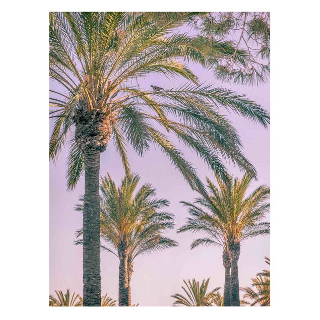 Print on canvas - Palm Trees At Sunset