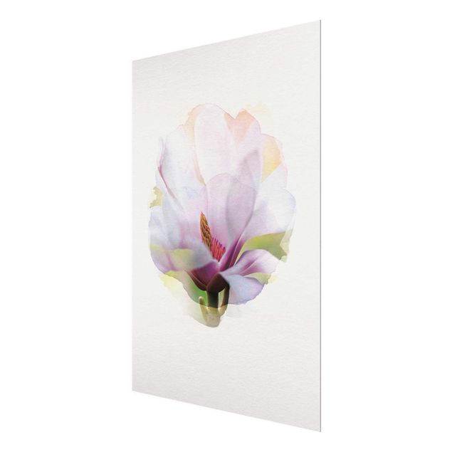 Glass print - WaterColours - Delicate Magnolia Blossom