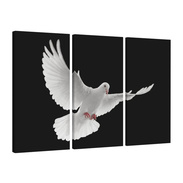 Print on canvas 3 parts - Dove Of Peace