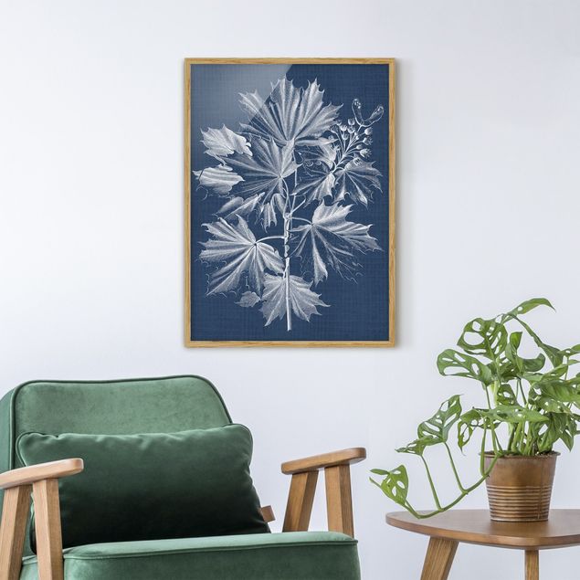 Framed poster - Denim Plant Study V