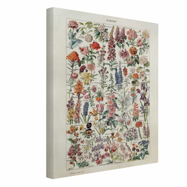 Print on canvas - Vintage Board Flowers V