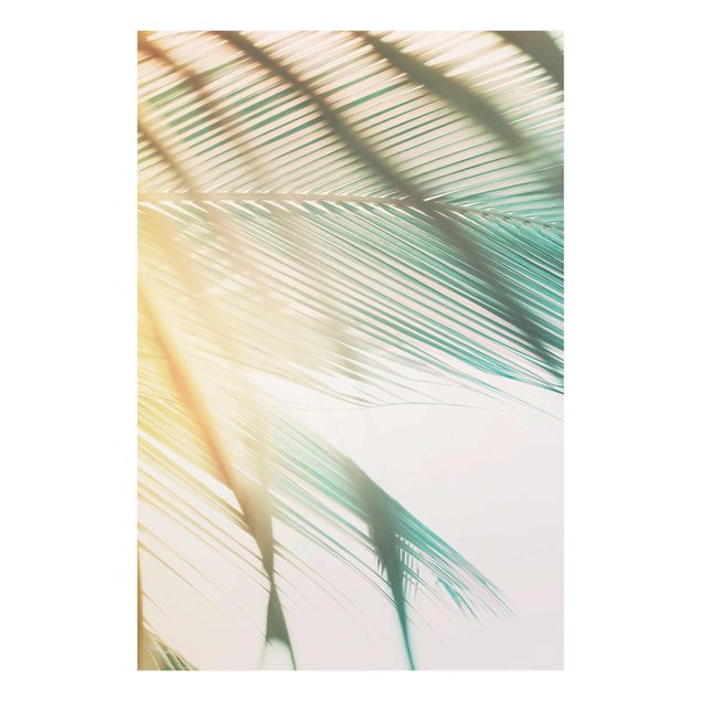 Glass print - Tropical Plants Palm Trees At Sunset II