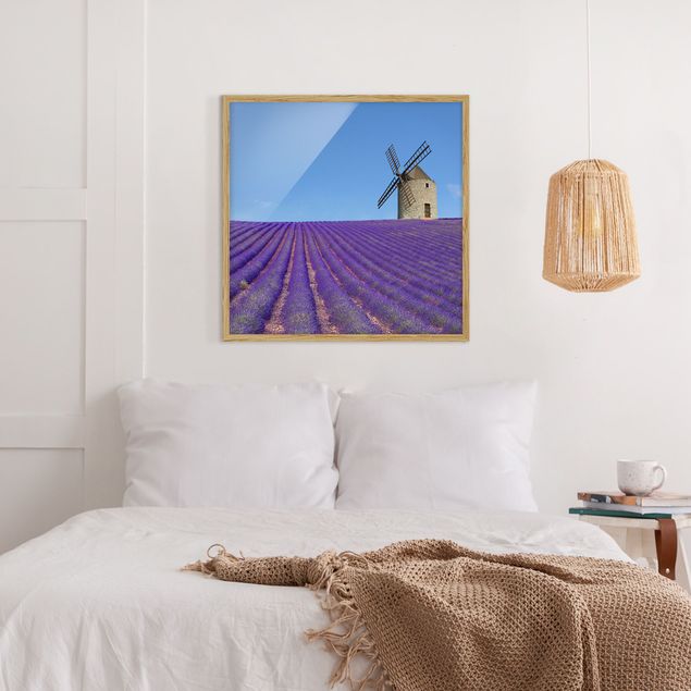 Framed poster - Lavender Scent In The Provence