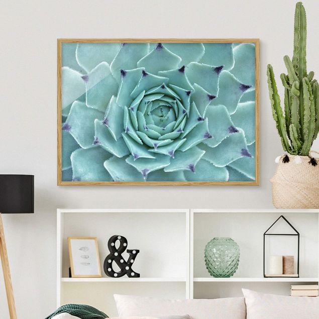 Framed poster - Cactus Agave