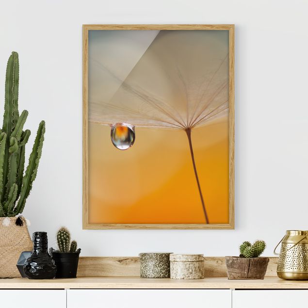 Framed poster - Dandelion In Orange