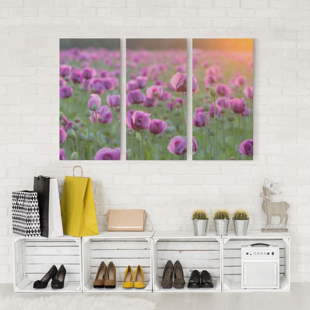 Print on canvas 3 parts - Purple Poppy Flower Meadow In Spring