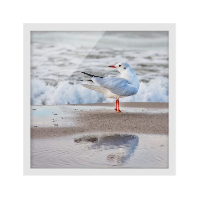 Framed poster - Seagull On The Beach In Front Of The Sea