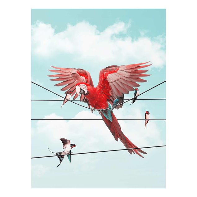 Glass print - Sky With Birds