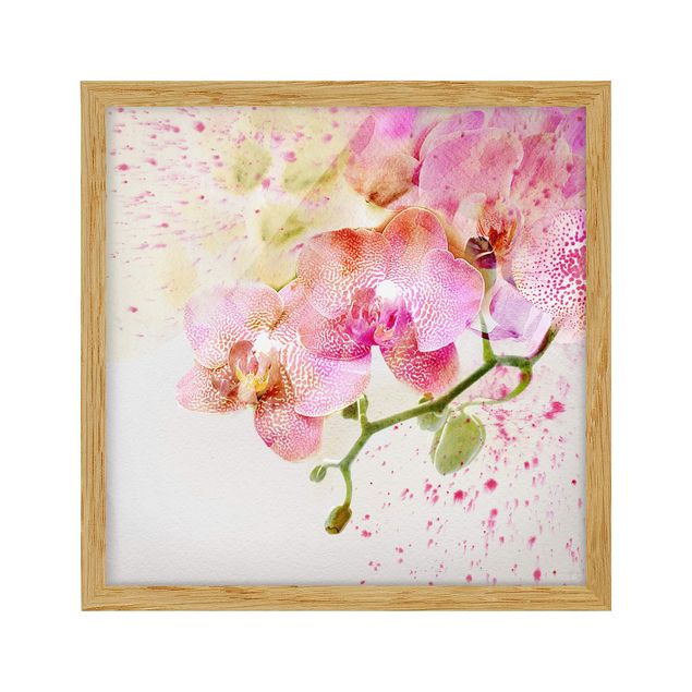 Framed poster - Watercolour Flowers Orchids