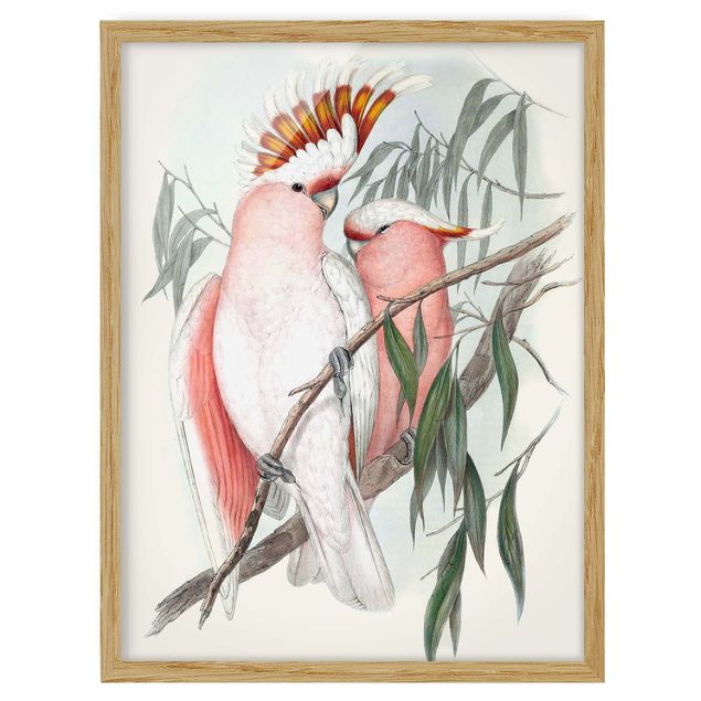 Framed poster - Pastel Parrots I