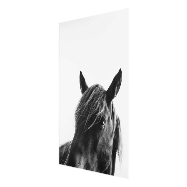 Glass print - Curious Horse