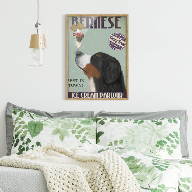 Framed poster - Bernese Mountain Dog With Ice