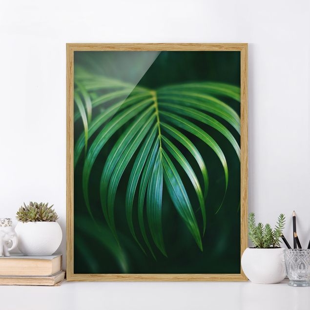 Framed poster - Palm Fronds