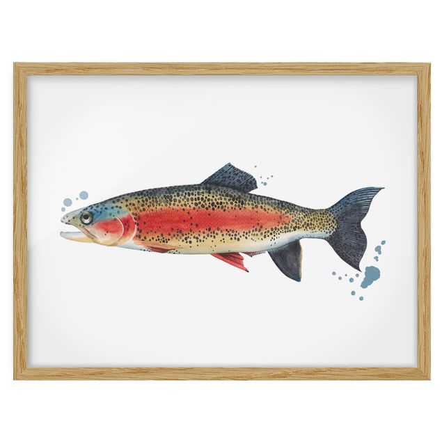 Framed poster - Color Catch - Trout