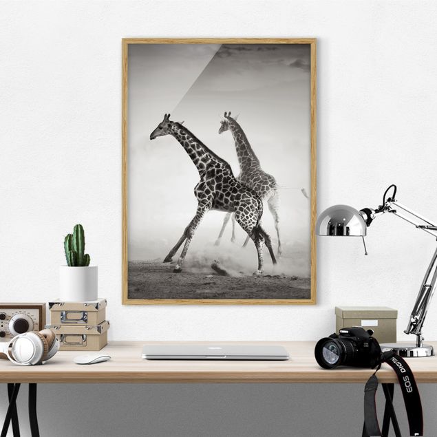 Framed poster - Giraffe Hunt