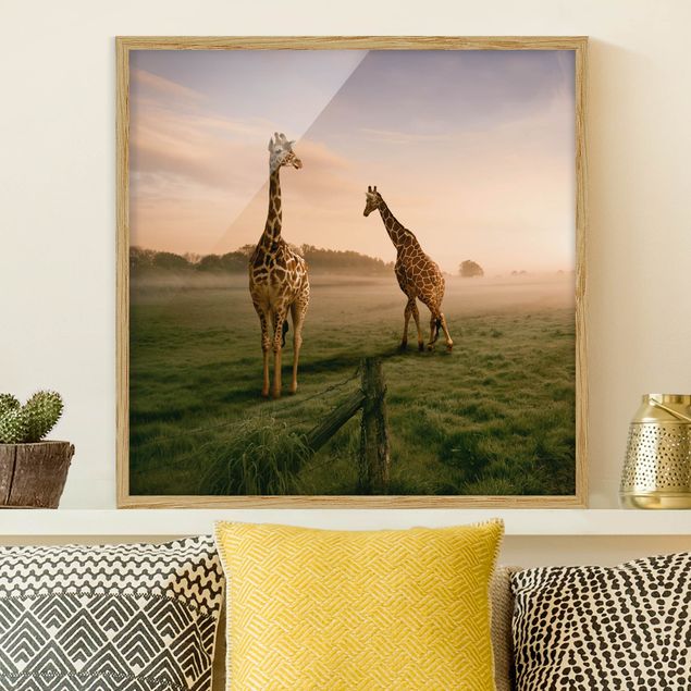 Framed poster - Surreal Giraffes