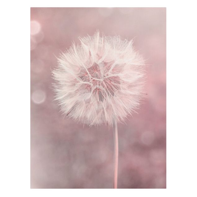 Print on canvas - Dandelion Bokeh Light Pink