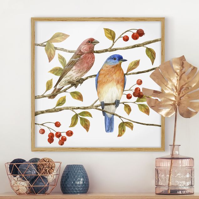 Framed poster - Birds And Berries - Bluebird