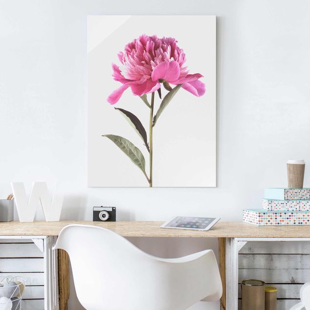 Glas Magnetboard Blooming Peony Pink On White