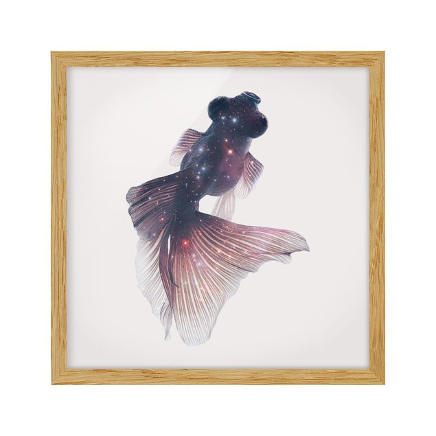 Framed poster - Fish With Galaxy