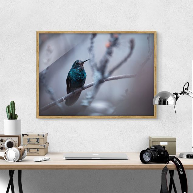 Framed poster - Hummingbird In Winter