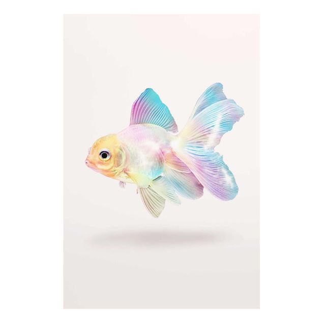Glass print - Fish In Pastel