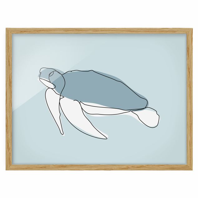 Framed poster - Turtle Line Art