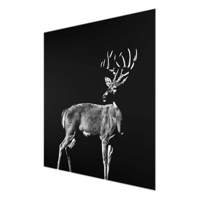 Glass print - Deer In The Dark