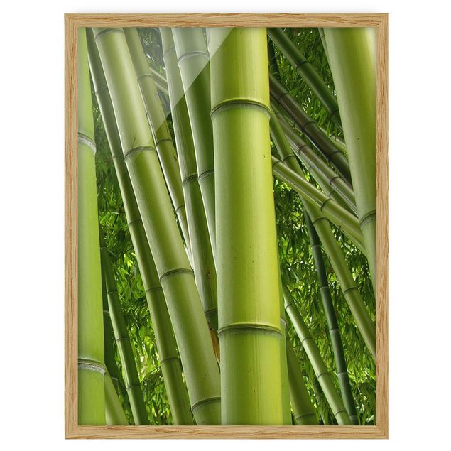 Framed poster - Bamboo Trees No.2