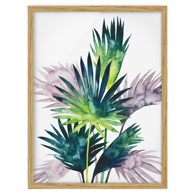 Framed poster - Exotic Foliage - Fan Palm