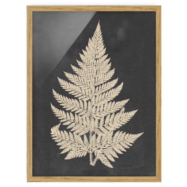 Framed poster - Fern With Linen Structure I