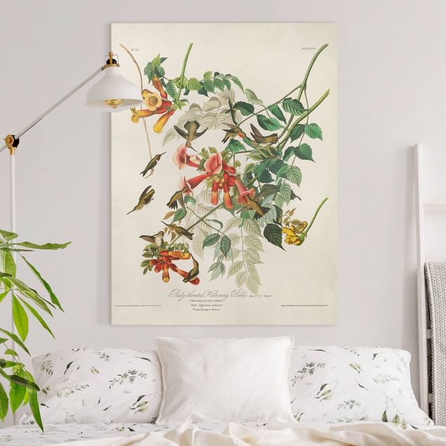 Print on canvas - Vintage Board Hummingbirds