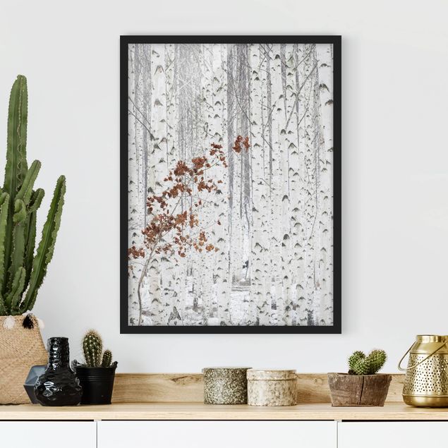 Framed poster - Birch Trees In Autumn