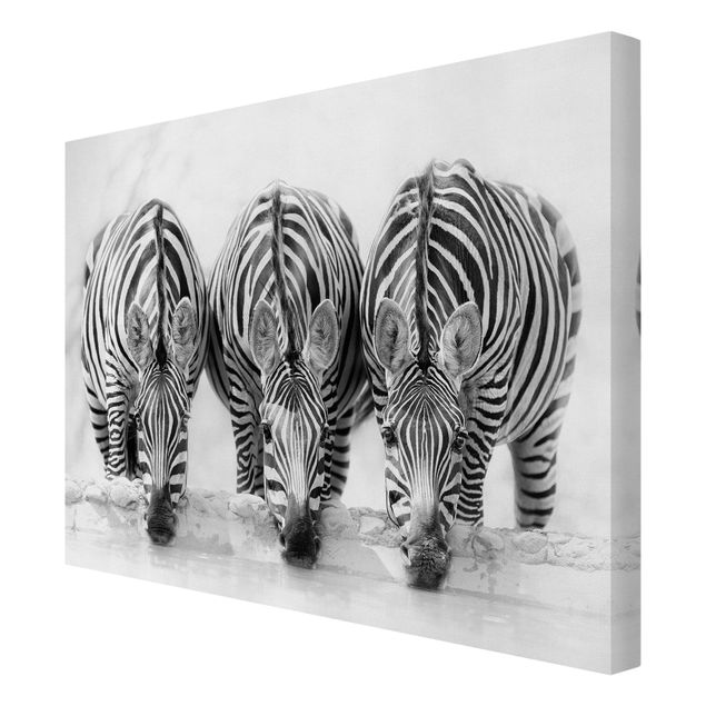 Print on canvas - Zebra Trio In Black And White