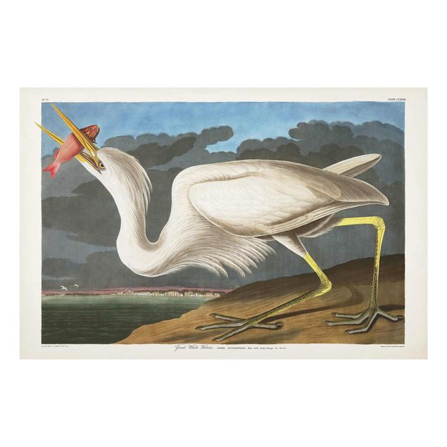 Glass print - Vintage Board Great White Egret