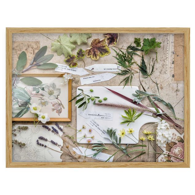 Framed poster - Flowers And Garden Herbs Vintage