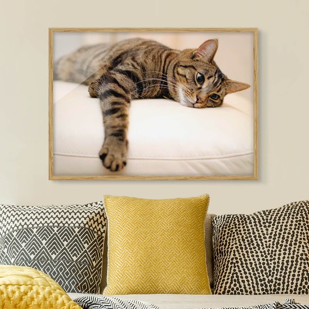 Framed poster - Cat Chill Out