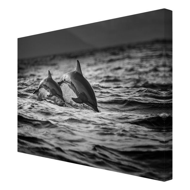 Print on canvas - Two Jumping Dolphins