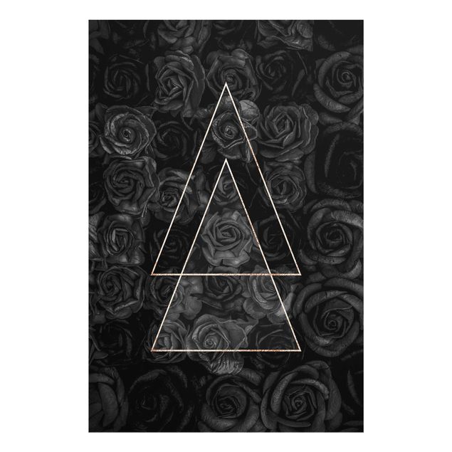 Glass print - Black Rose In Golden Triangle
