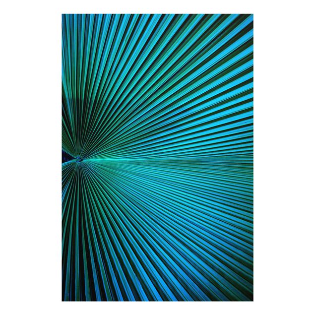Glass print - Tropical Plants Palm Leaf In Turquoise II